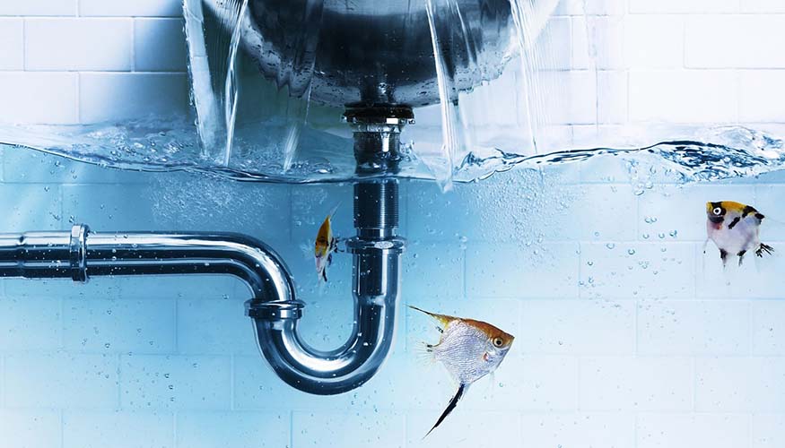 Ataşehir Su Kaçağı Bulma, Ataşehir Su Kaçağı Tespiti, Ataşehir Robotla Su Kaçağı, Ataşehir Kırmadan Su Kaçağı Tamiri, Ataşehir Su Kaçağı