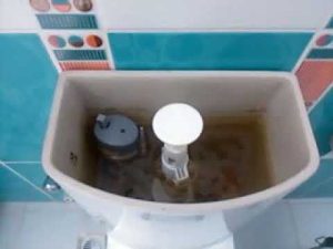 Klozet Sifonu Su Kaçırıyor